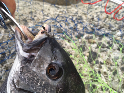 雨降り前に。。