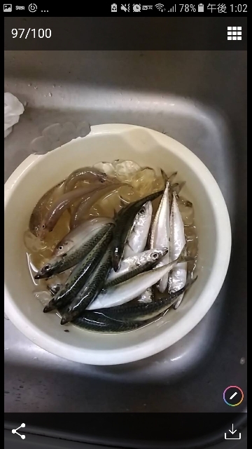 素敵な仲間と那珂湊港釣行❕