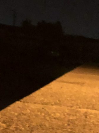 降雨前短時間メバリング