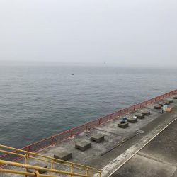 コブダイｊｒ！