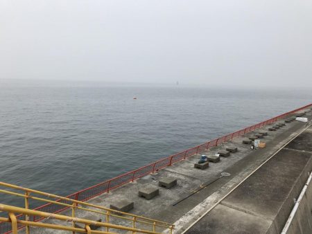 コブダイｊｒ！