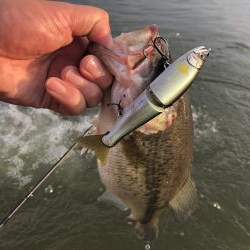 ジョイクロ128テスト