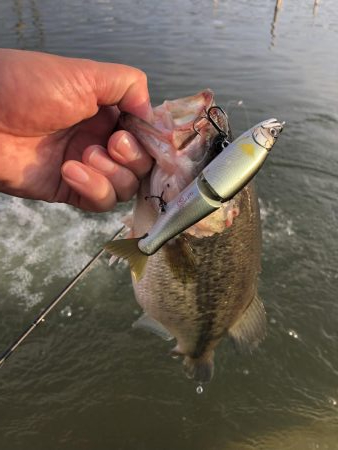 ジョイクロ128テスト