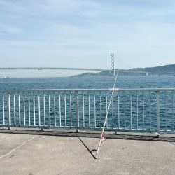 初カレイが釣れました