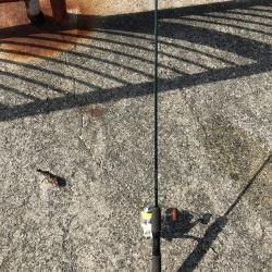 困った時のガッシー！