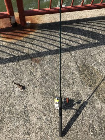 困った時のガッシー！