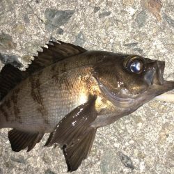 やっぱり足下は強かった…