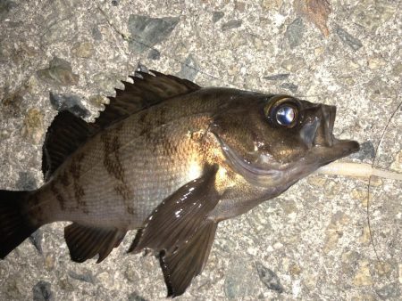 やっぱり足下は強かった…