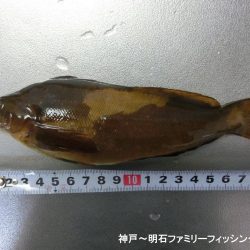 小物爆釣で満足の一日