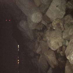 いつも安定のナイトゲーム