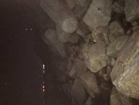 いつも安定のナイトゲーム