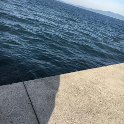 ガッシーの入れ食い