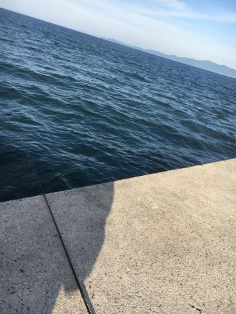 ガッシーの入れ食い