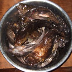 予想外のアミパターン