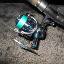 サイズは望めない…。