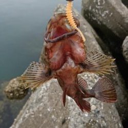 ライトワインド