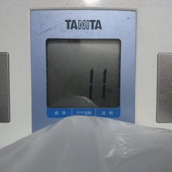 日中のサーフでキロアップGET