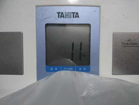 日中のサーフでキロアップGET