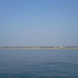 カサゴ入れ食い