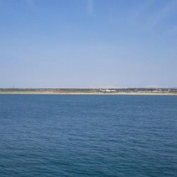 カサゴが沢山つれました。