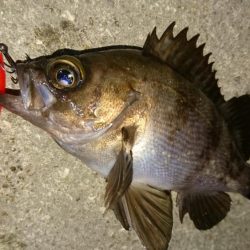 なんかイマイチ