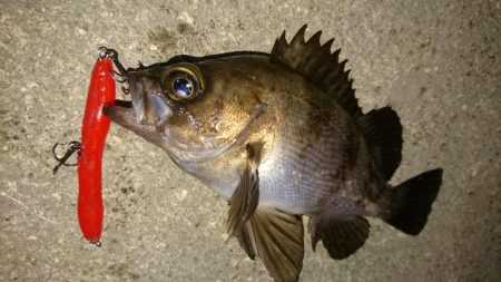 なんかイマイチ