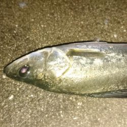 スローに誘って