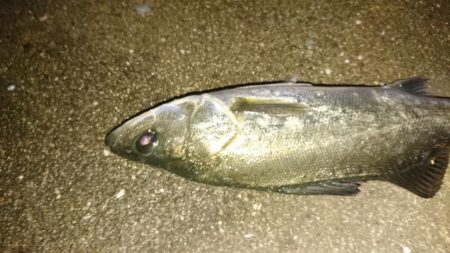 スローに誘って