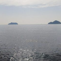 teamゲッソー調査隊