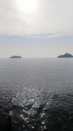 teamゲッソー調査隊