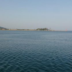 エギングタックルでキス釣り