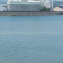 グレ釣り　キス釣り　メバリンク　エギング