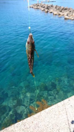 キス開幕してました