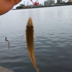 雨の志筑でキス狙い