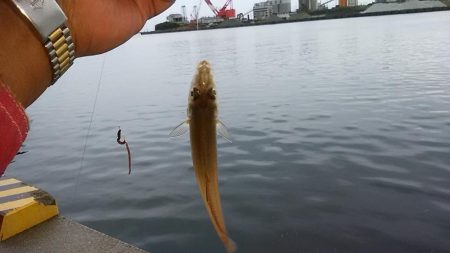 雨の志筑でキス狙い