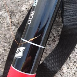 ロウニンアジはピンクカラーがお好き