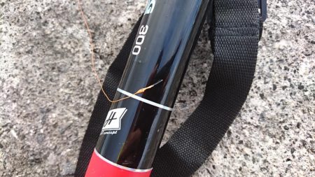 ロウニンアジはピンクカラーがお好き