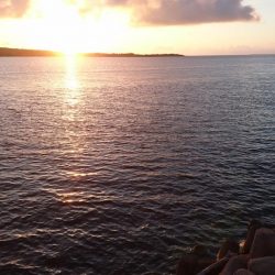 ５日ぶりに釣れました。オニヒラアジ