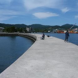 津名バスターミナル波止でキス狙い