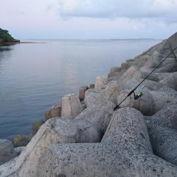 ロウニンアジ久しぶりにデカいです。