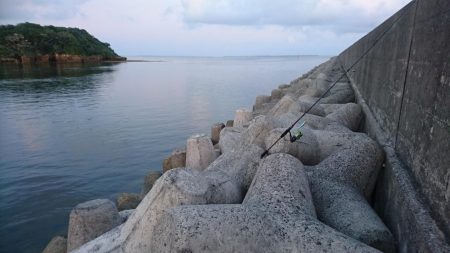 ロウニンアジ久しぶりにデカいです。