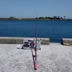 志筑周辺のキス釣り