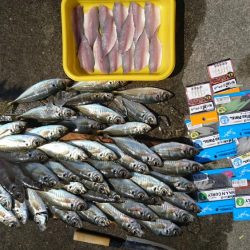 ボートアジング