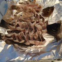 1日で状況は変わる