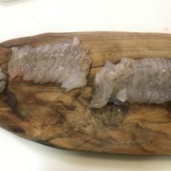 ショアジギング