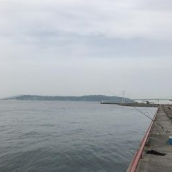 マムシは良く効く