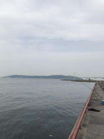 マムシは良く効く