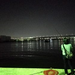 久しぶりに釣り