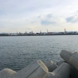 和歌山ワインド