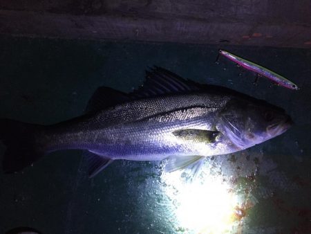 バチ抜け祭り、7バイト7キャッチ！